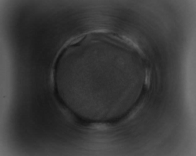 X0000099990300200806061550