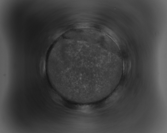 X0000099990301200806061550