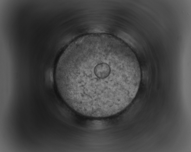 X0000099990302200806061550