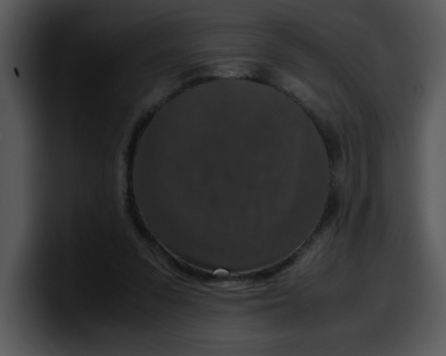 X0000099990303200806061550