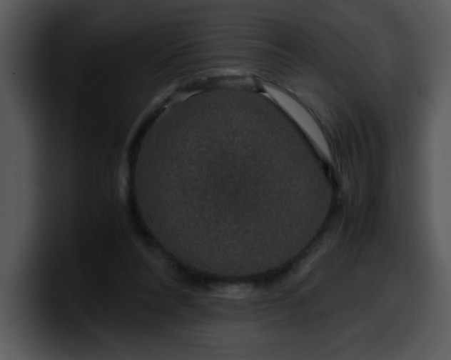 X0000099990304200806061550