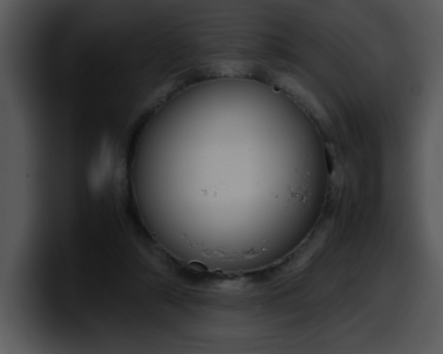 X0000099990306200806061550