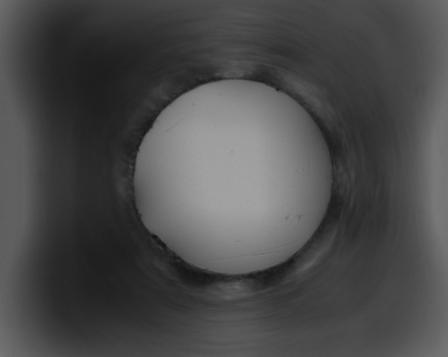 X0000099990307200806061550