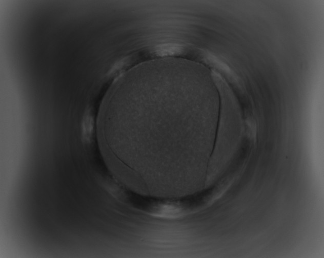 X0000099990308200806061550