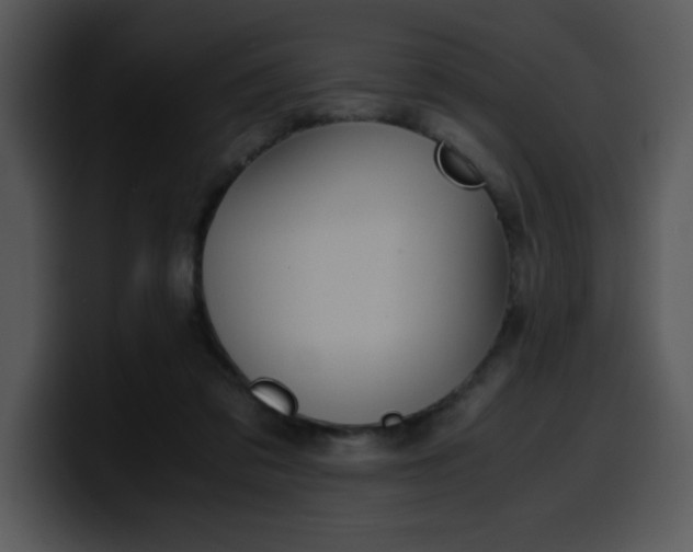 X0000099990309200806061550