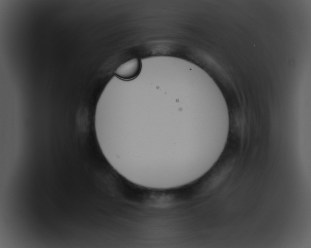 X0000099990311200806061550