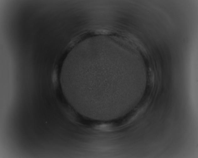 X0000099990312200806061550