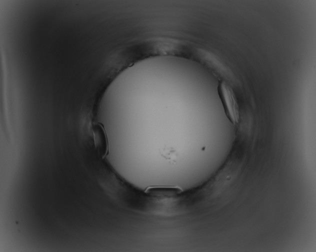 X0000099990313200806061550