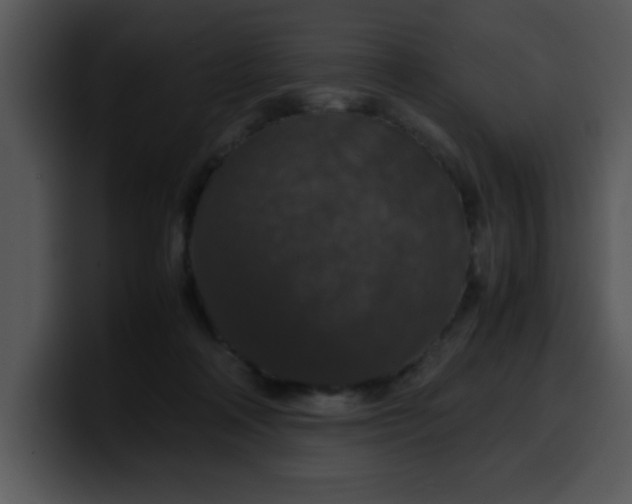 X0000099990314200806061550