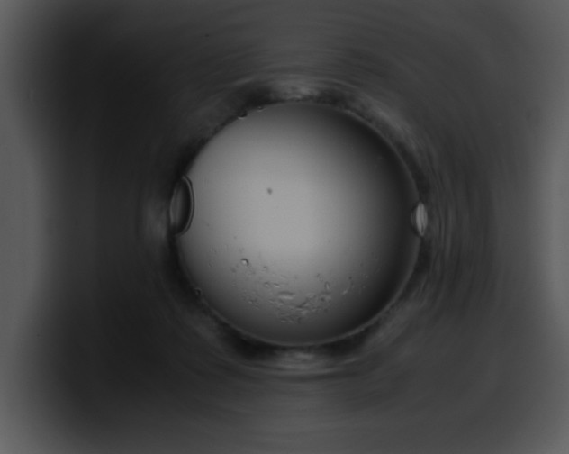 X0000099990315200806061549