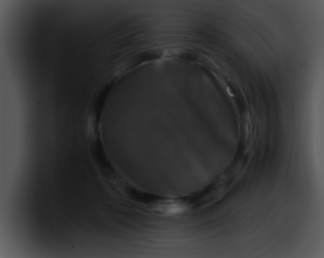 X0000099990316200806061549