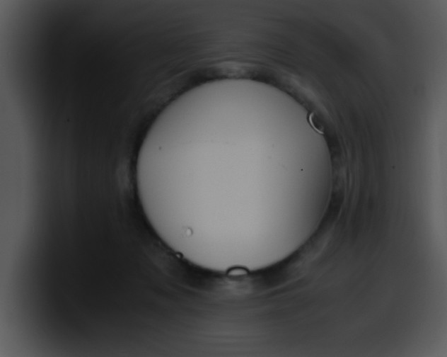 X0000099990317200806061549