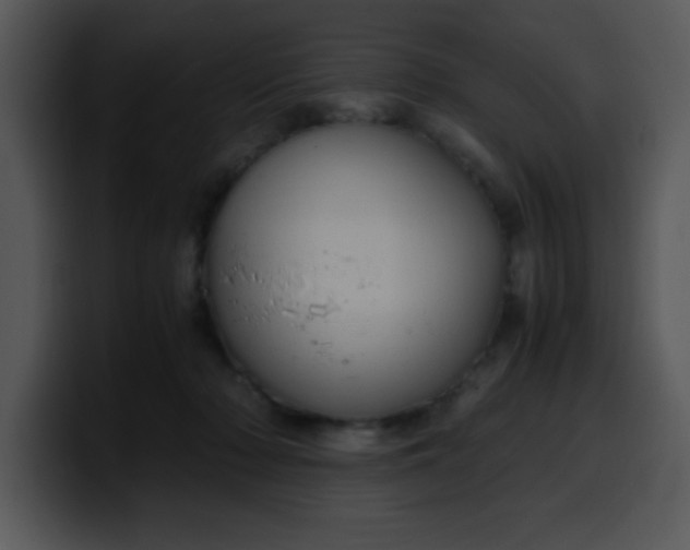 X0000099990318200806061549