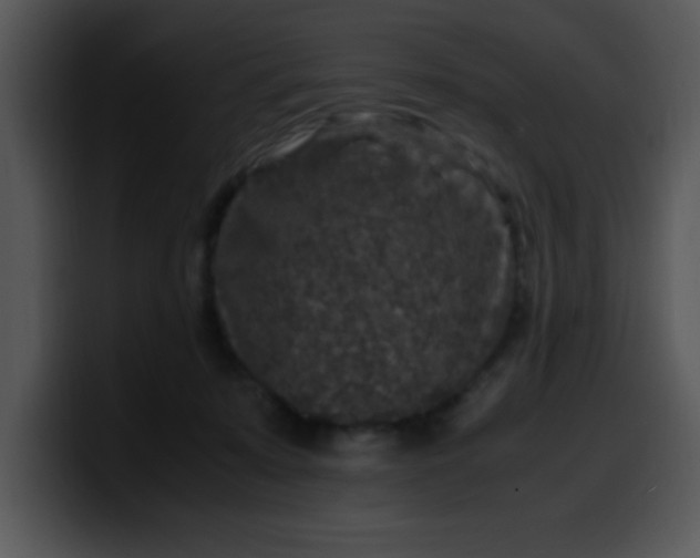 X0000099990319200806061549