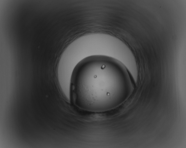 X0000099990320200806061549