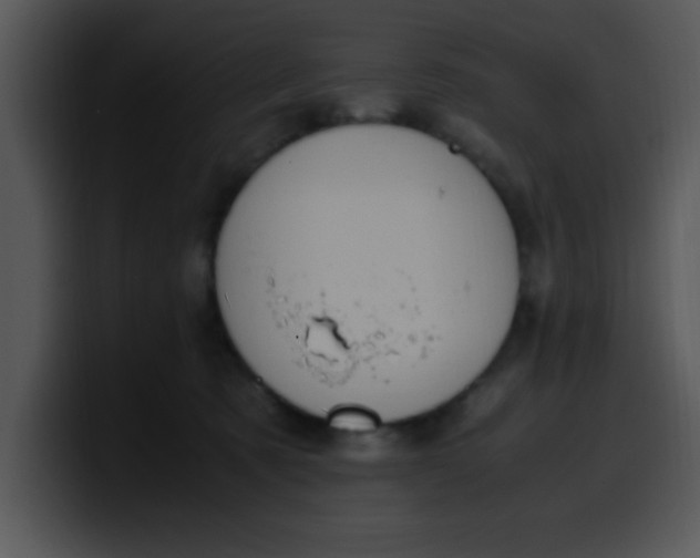 X0000099990321200806061549