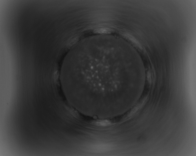 X0000099990322200806061549