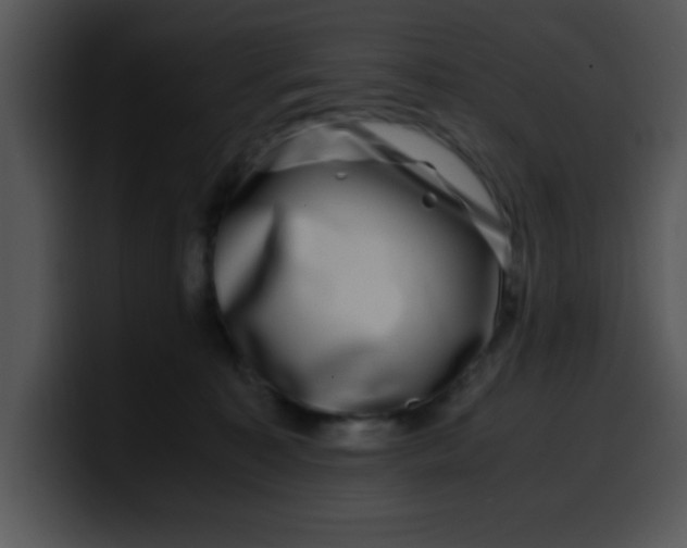 X0000099990323200806061549