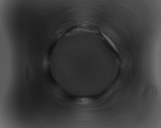 X0000099990324200806061549