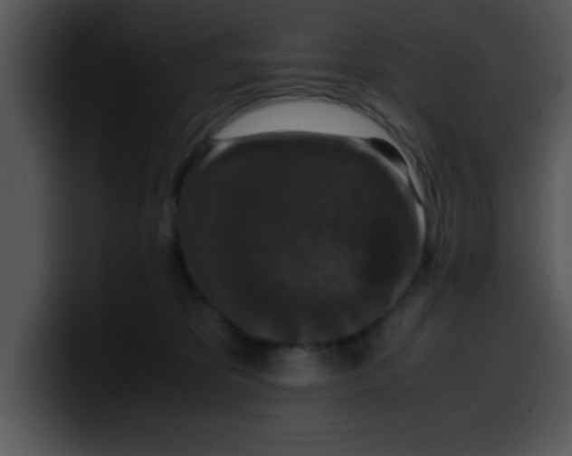 X0000099990325200806061549