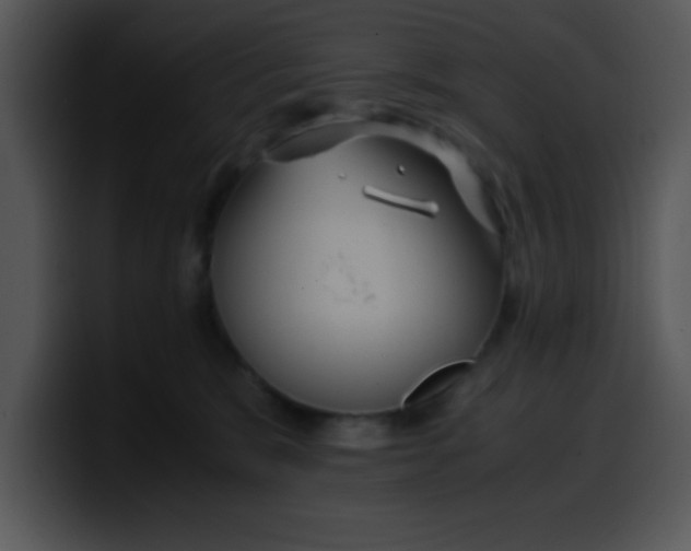 X0000099990327200806061549