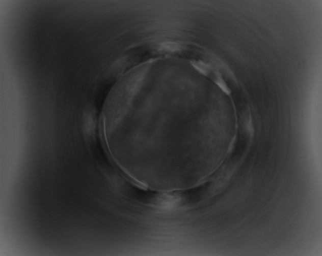 X0000099990328200806061549