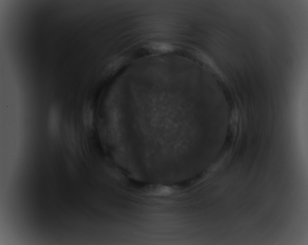 X0000099990330200806061549