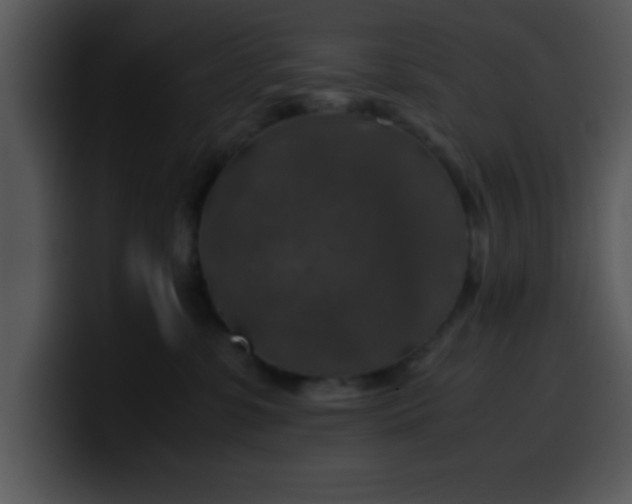 X0000099990331200806061549