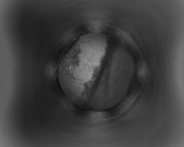 X0000099990332200806061549