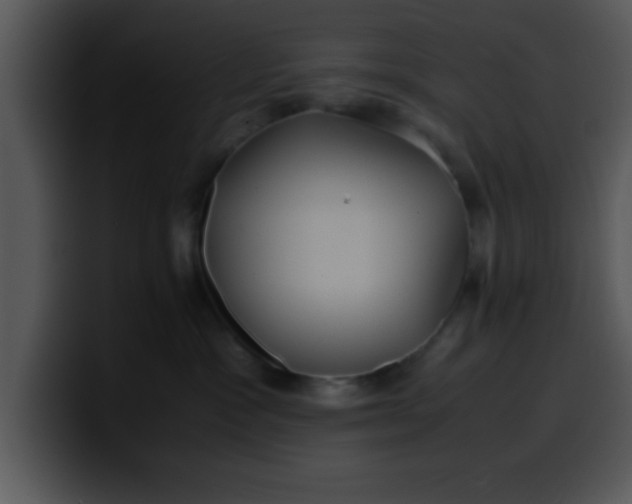 X0000099990333200806061549