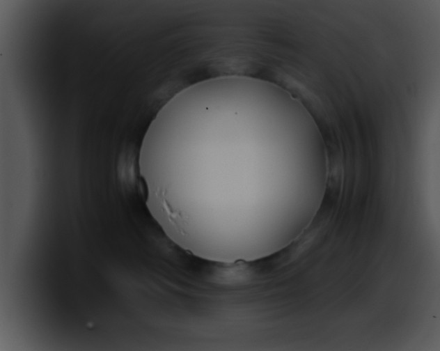 X0000099990334200806061549