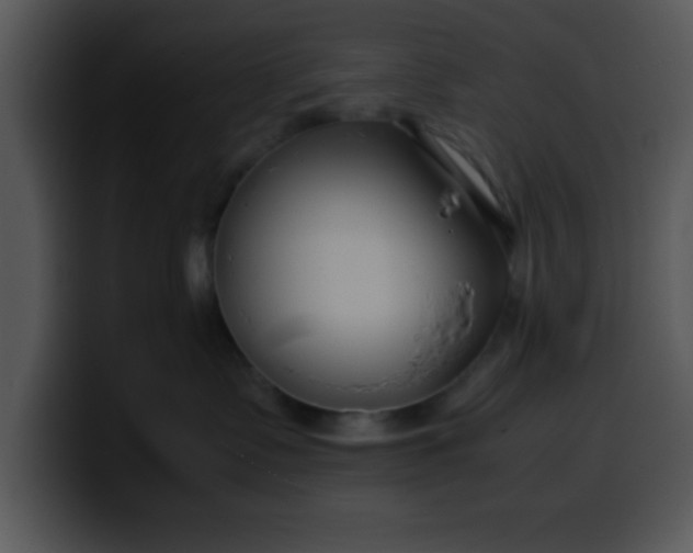 X0000099990335200806061549