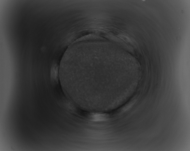 X0000099990336200806061549