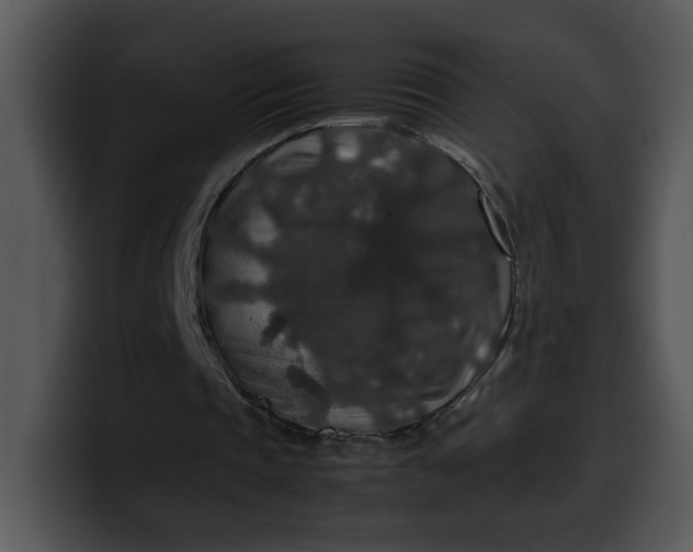 X0000099990337200806061549