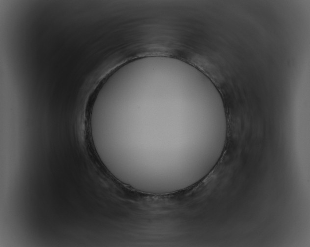 X0000099990338200806061549