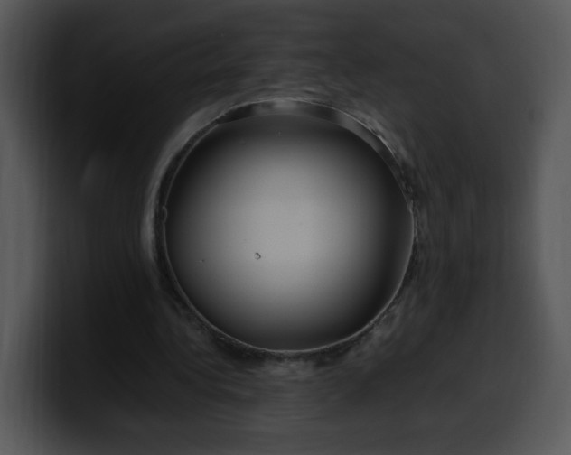 X0000099990340200806061549