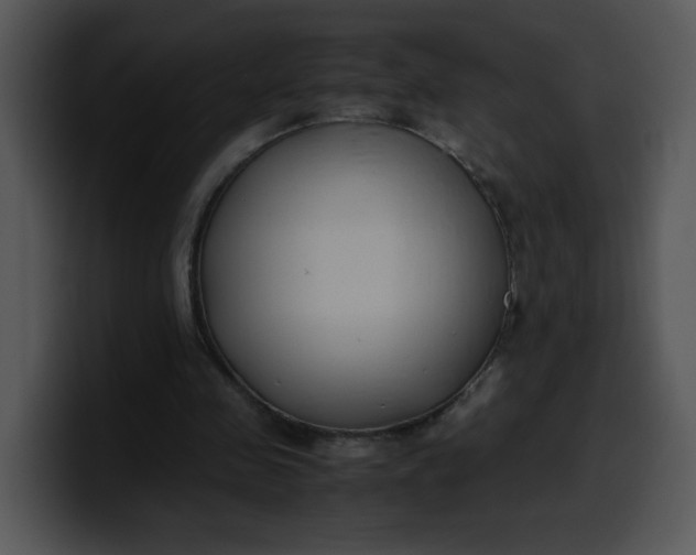 X0000099990341200806061549