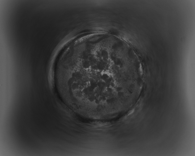 X0000099990343200806061549