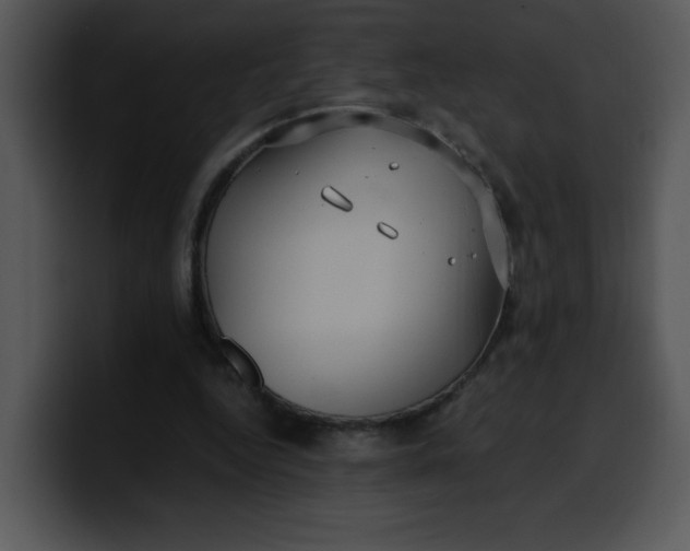 X0000099990344200806061549