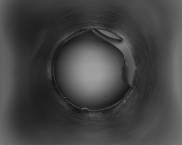 X0000099990345200806061549