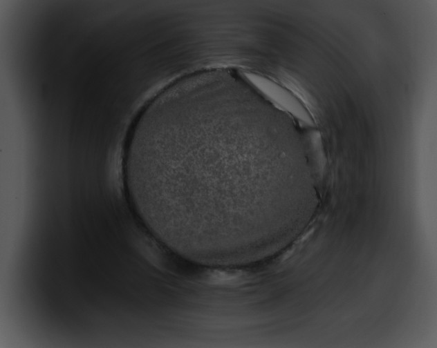 X0000099990346200806061549