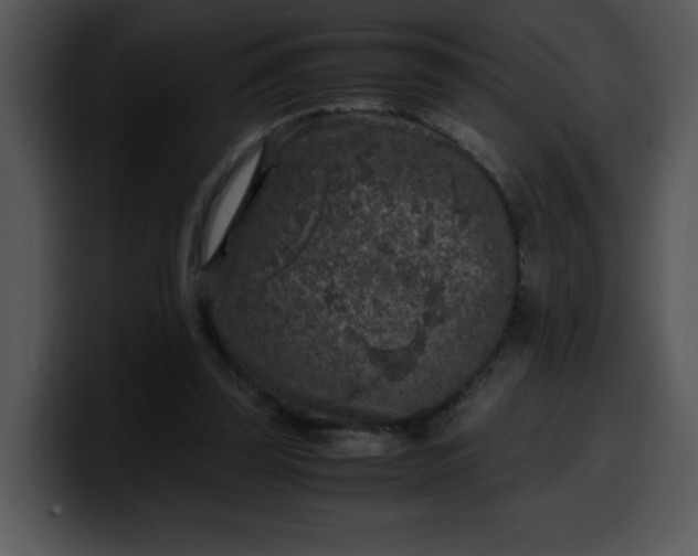 X0000099990347200806061549