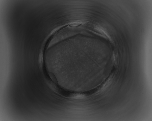 X0000099990348200806061549