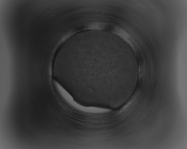 X0000099990349200806061549