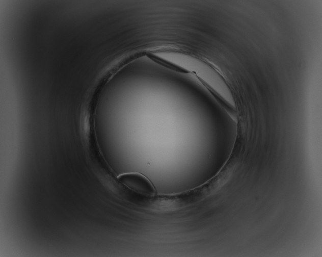 X0000099990350200806061549