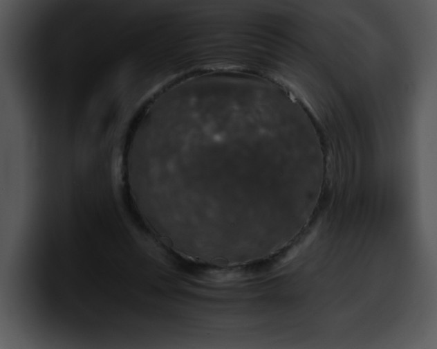 X0000099990351200806061549