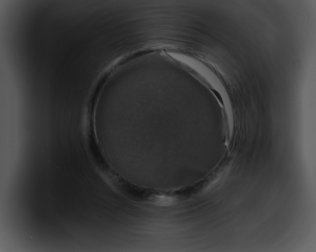 X0000099990352200806061549