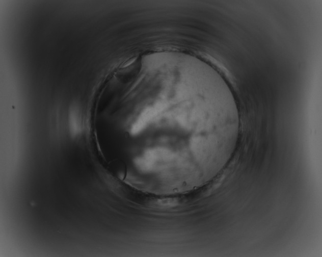 X0000099990353200806061549