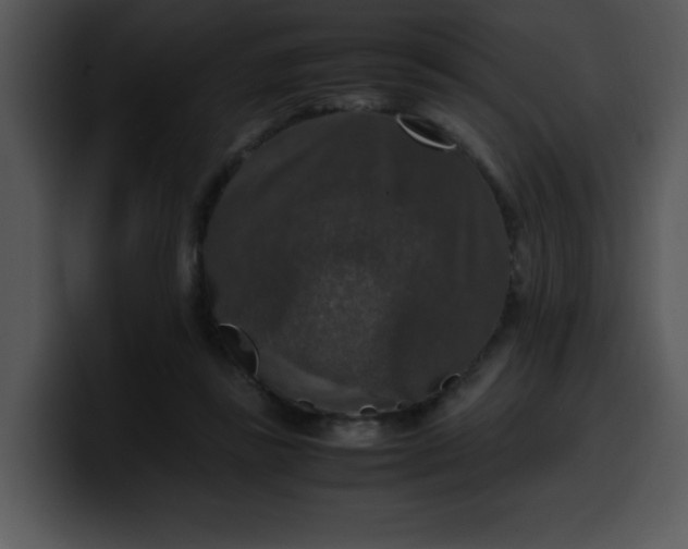 X0000099990355200806061549