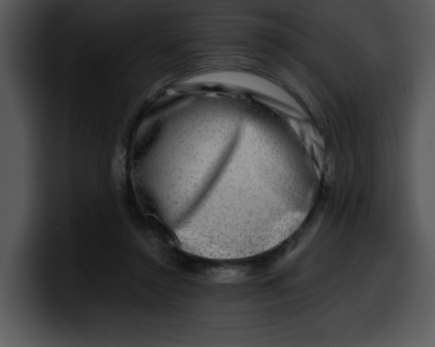 X0000099990356200806061549